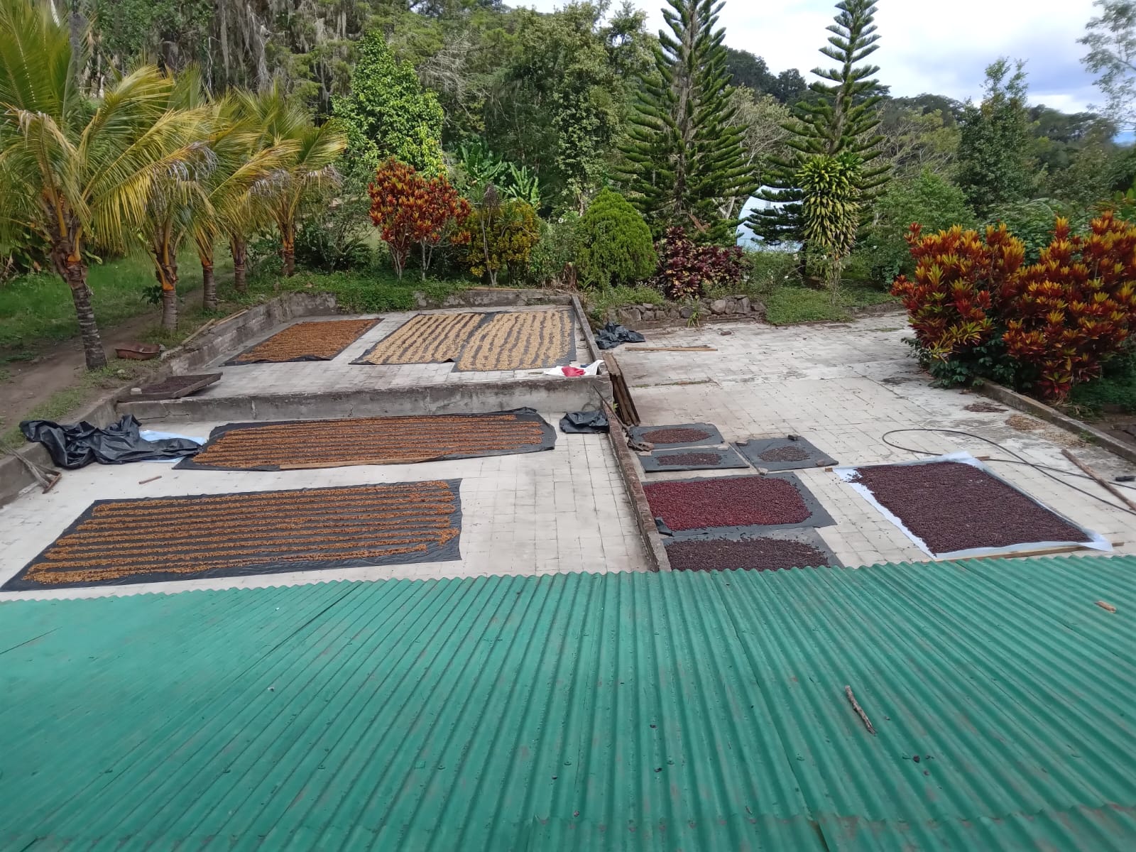 Destination - Nicaragua - Single Origin Coffee