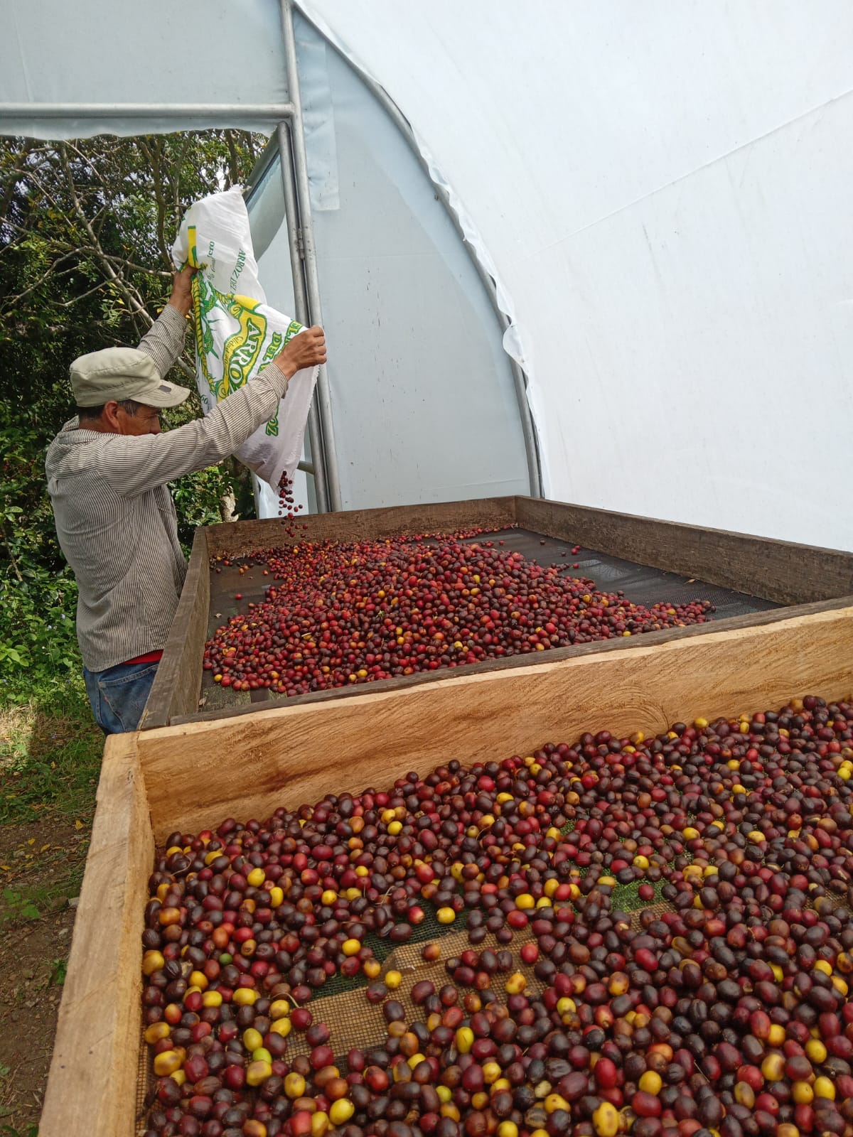 Destination - Nicaragua - Single Origin Coffee