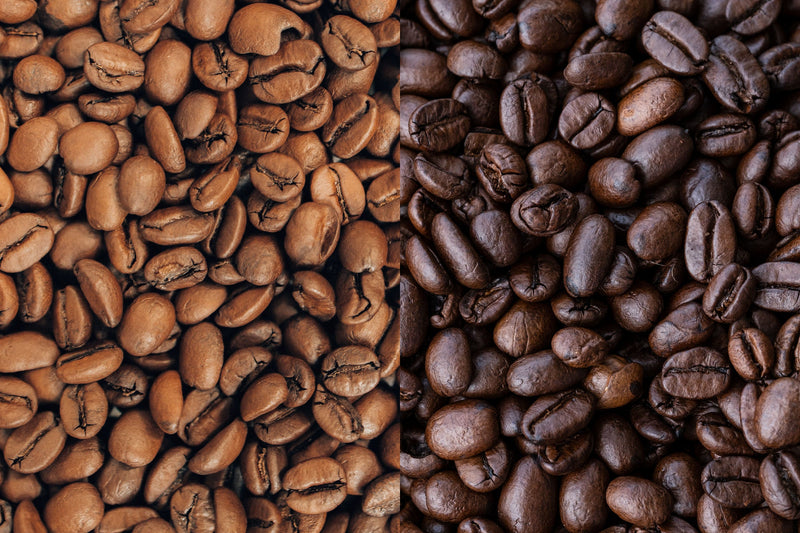 Light roast coffee beans on the left beside dark roast coffee beans on the right